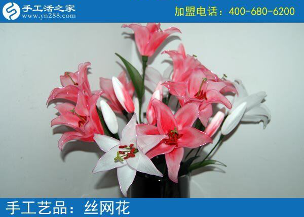 你見過這么漂亮的絲網(wǎng)花嗎？純手工制作廢物利用 花的世界花的海洋！(圖3)