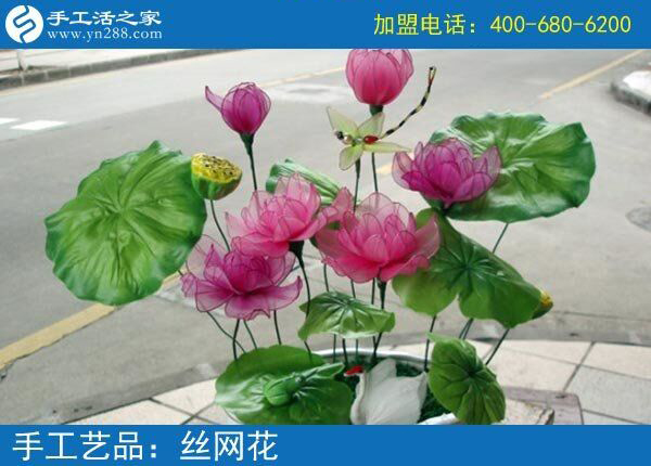 你見過這么漂亮的絲網(wǎng)花嗎？純手工制作廢物利用 花的世界花的海洋！(圖5)