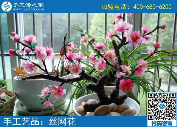 房?jī)r(jià)貴買不起，她卻不放棄，3年了，黑龍江雞西唐女士用這個(gè)追逐夢(mèng)想