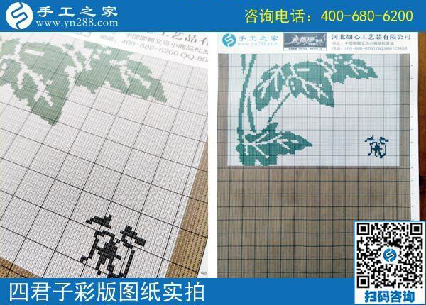 手工之家雅薇麗珠繡圖紙（梅蘭竹菊）新款，彩色升級版！(圖3)