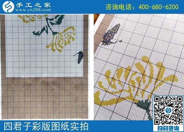 手工之家雅薇麗珠繡圖紙（梅蘭竹菊）新款，彩色升級版！(圖4)