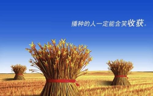 （干貨）分享：判斷在家做的手工活加工項(xiàng)目的正規(guī)性，這幾個角度要注意(圖3)