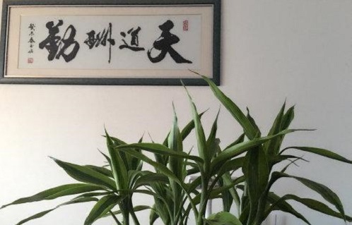 （干貨）分享：判斷在家做的手工活加工項(xiàng)目的正規(guī)性，這幾個角度要注意(圖5)