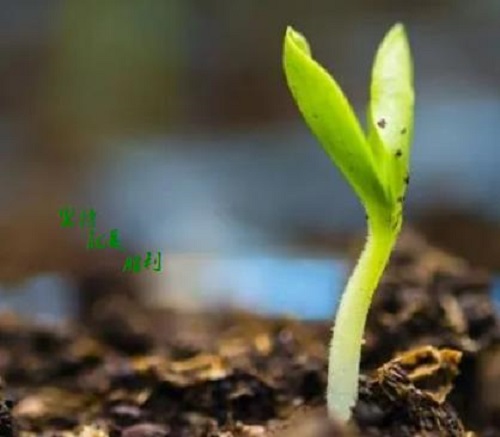 這五點(diǎn)銷售心理做好了，微商也就會越來越成功(圖1)