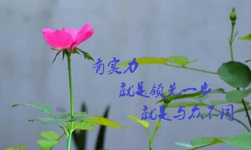 手工活接單正規(guī)平臺(tái)，有實(shí)力的手工廠家是啥樣的？