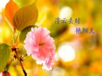 不一樣的五·一，用一樣的心去努力