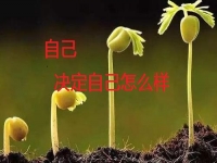 能在家做的手工副業(yè)，你是否能做純手工項(xiàng)目掙錢(qián)？