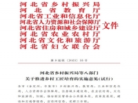 爭(zhēng)做鄉(xiāng)村工匠，我們一起用手工助力鄉(xiāng)村振興