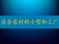 適合農(nóng)村的小型加工廠，月入2萬不算多，你有時(shí)間也能做