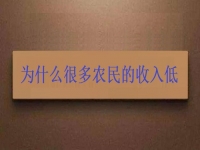 為什么很多農民的收入低？這2點做好了，在家兼職手工活收入是杠杠滴
