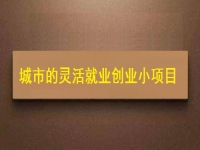 適合城市靈活就業(yè)創(chuàng)業(yè)的小項目，正規(guī)純手工多了1項收入