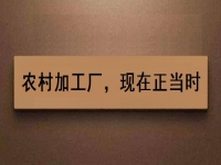 這個農村加工廠項目，沒關系、沒錢也可以做好，你還等什么？