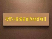 投資不到3萬，1個人就能干，利潤很高，每天收入能上千，我能做嗎