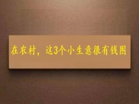 都說(shuō)在農(nóng)村不好賺錢，可以試試這幾個(gè)小生意，很有“錢”圖