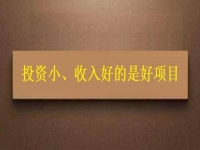 投資這么小，為什么收入?yún)s能這樣好？這個(gè)拿回家做的手工項(xiàng)目給出了答案