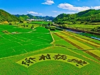 普通人應(yīng)該如何抓住鄉(xiāng)村振興創(chuàng)業(yè)風(fēng)口？