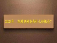 2024年，在村里創(chuàng)業(yè)還有什么好機會？