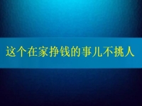 這個在家掙錢的事兒不挑人，2024要掙錢，你我就靠它了