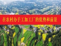 發(fā)掘農(nóng)村優(yōu)勢(shì)，讓返鄉(xiāng)創(chuàng)業(yè)開手工加工廠成為更多人掙錢增收的好辦法