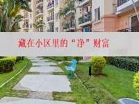 在城里創(chuàng)業(yè)辦純手工加工廠，就是找到了藏在小區(qū)里的“凈”財(cái)富