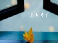 開學(xué)季，做手工傳承官掙錢的家庭婦女、寶媽等女士更多了，因?yàn)橛袝r(shí)間、能掙錢