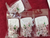 11月15日，手工活拿回家做在哪里找，居家副業(yè)創(chuàng)業(yè)，微創(chuàng)業(yè)做手工傳承官，在手工之家，純手工讓大家一年四季有錢掙，圖為串珠米珠繡手工產(chǎn)品材料剪影