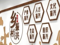 不打工，在農(nóng)村做什么好？不負(fù)時(shí)光，純手工活兒整出好“錢(qián)”景