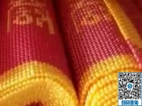 做手工活加工事業(yè)，沒有任何門檻，男士也很青睞