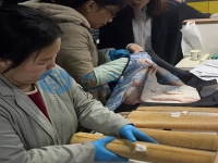 在家庭工作做手工活外接串珠子，常年輕松快樂把錢賺